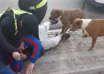 Separaron del cargo al policía que detuvo y golpeó a vecino en pleno centro de Caleta Olivia