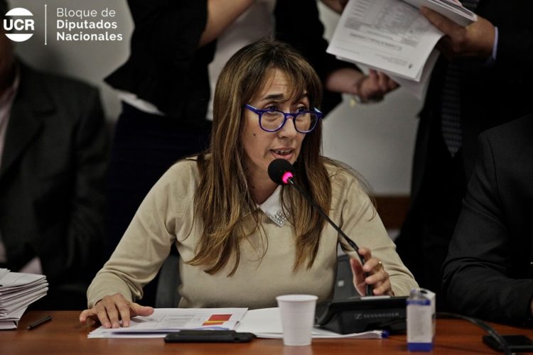 DIPUTADOS DE CAMBIEMOS REPUDIAN AL FISCAL CHUBUTENSE QUE CALIFICÓ UNA VIOLACIÓN COMO “DESAHOGO SEXUAL”