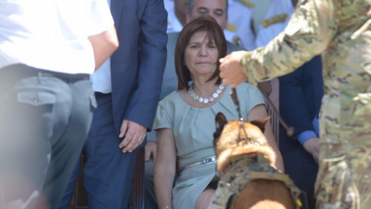 La resolución secreta que usó Bullrich para perseguir gente por sus posteos