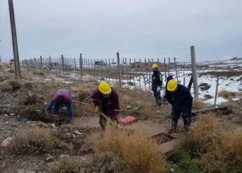 Servicios Públicos concretó tareas de reparación en Las Heras