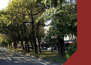 Conferencia; Eficiencia Energética y Energías Renovables para el Desarrollo Sustentable de los Municipios