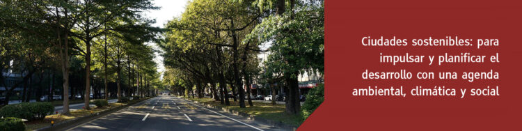 Conferencia; Eficiencia Energética y Energías Renovables para el Desarrollo Sustentable de los Municipios