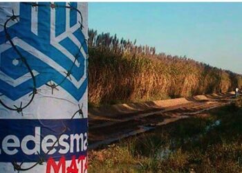 Tras la muerte de cuatro trabajadores, habrá paro de 24 horas en el Ingenio Ledesma