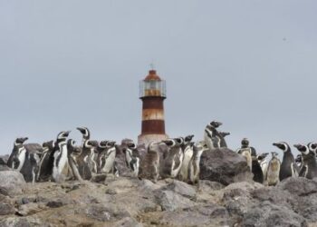 Mañana comienza la inscripción para el Fondo de Auxilio y Capacitación Turística
