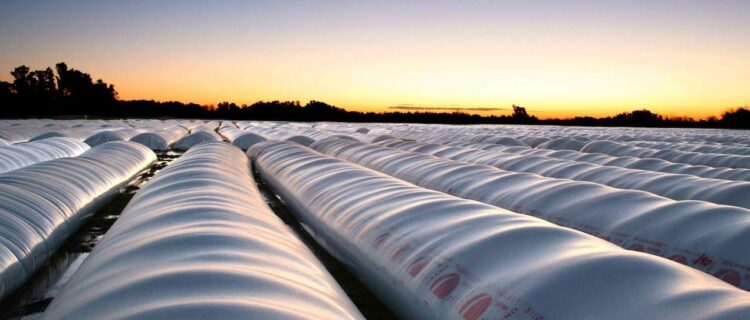 Ataques a silobolsas: cómo la tecnología puede ayudar al campo