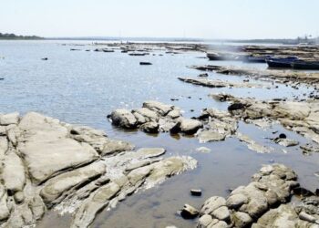 Río Paraguay sigue bajando: apenas 14 cm en Asunción