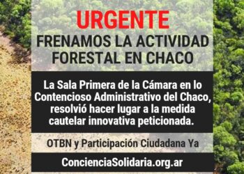 URGENTE. Se frenó la Actividad Forestal en el Chaco