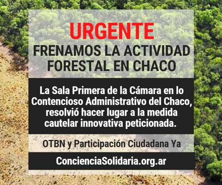 URGENTE. Se frenó la Actividad Forestal en el Chaco