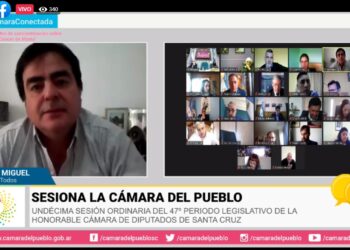 DIP: FARIAS: “Cuando llega el momento de asumir el rol de cada uno lo que hacen es huir”