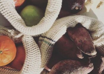 “Zero Waste Calafate”: una propuesta comprometida con el ambiente