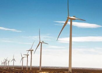 El Parque Eólico Cañadón León comenzará a generar energía a fines del mes de abril