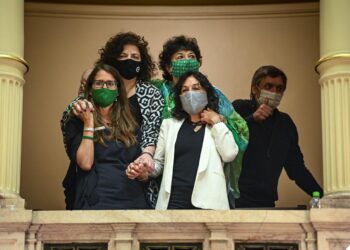 Se sancionó la Ley de Interrupción Voluntaria del Embarazo