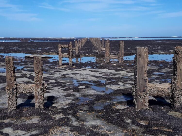 Desde el Polo Obrero exigen a TERMAP remediación ambiental en Cale Olivia