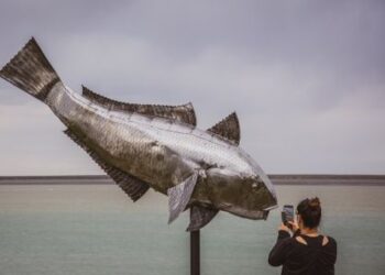 Todo listo para la VIª Fiesta Nacional del Róbalo en Puerto Santa Cruz