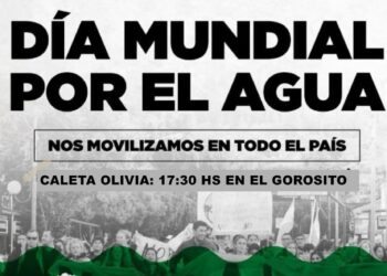 DIA MUNDIAL DEL AGUA: Este derecho también se defiende en las calles.