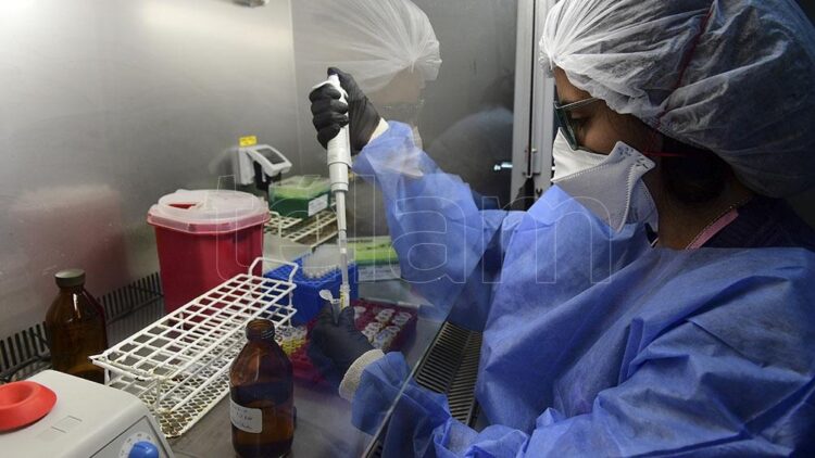 Murieron 383 personas y 24.999 fueron reportadas con coronavirus en el país