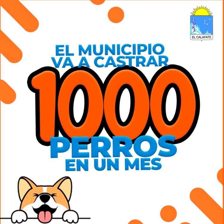 La Municipalidad de El Calafate castrará 1000 perros en un mes