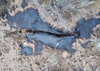 Guenchenen: “YPF está haciendo un desastre ambiental, y la provincia lo está permitiendo”