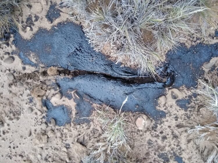 Guenchenen: “YPF está haciendo un desastre ambiental, y la provincia lo está permitiendo”