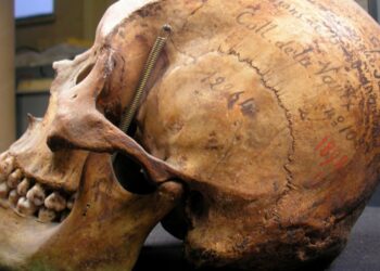 Expectativa del pueblo tehuelche por la restitución del esqueleto que estaba en París