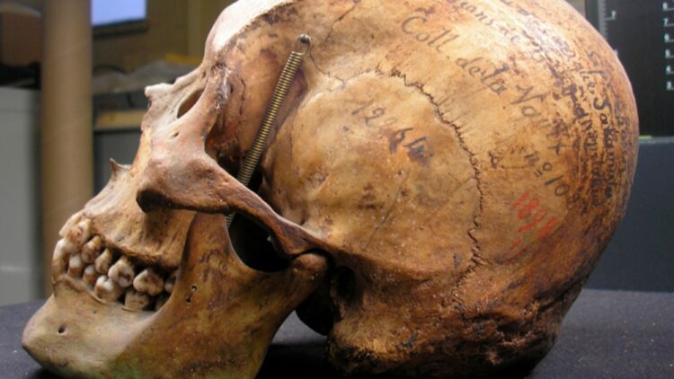 Expectativa del pueblo tehuelche por la restitución del esqueleto que estaba en París