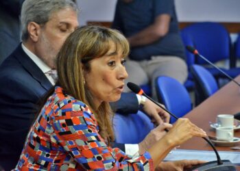 ROXANA REYES HABLÓ DE LAS ELECCIONES Y LLAMÓ A PONERLE UN FRENO AL KIRCHNERISMO