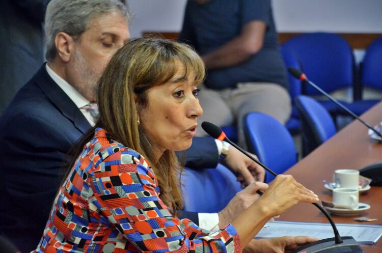 ROXANA REYES HABLÓ DE LAS ELECCIONES Y LLAMÓ A PONERLE UN FRENO AL KIRCHNERISMO