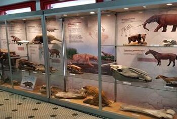 Se adjudicaron $11.481.680 en subsidios para 12 proyectos de cultura científica