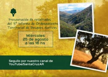 Presentaran los resultados del 3º Informe de Ordenamiento Territorial de Bosques Nativos