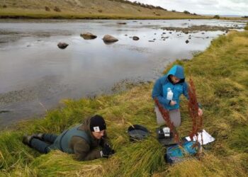 Municipios y organismos provinciales iniciaron formación en cambio climático