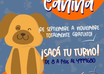 Vuelve el servicio de castración gratuita