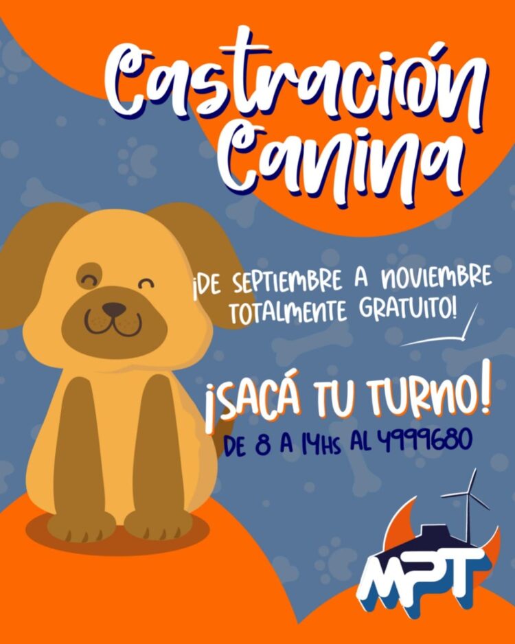 Vuelve el servicio de castración gratuita