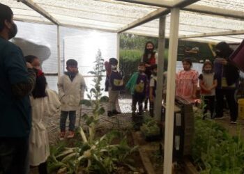 Educación Rural desarrolla nuevas actividades en la huerta orgánica