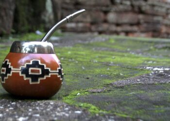 El mate: una infusión tradicional que aporta nutrientes e impacta en las emociones