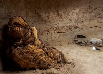 Encontraron una momia preincaica en el Perú atada con sogas