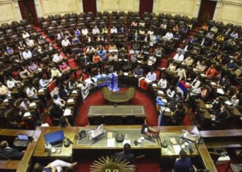 Santa Cruz participó en el cierre del Parlamento Juvenil del Mercosur