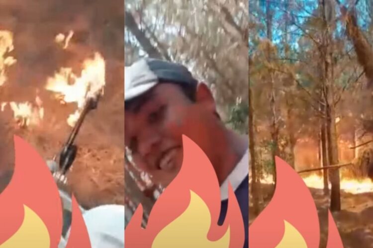 «Miren el desastre que hago»: buscan a un hombre que se filmó incendiando un bosque de Corrientes con un lanzallamas
