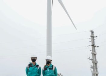 Leonett: “Hoy se trabaja para que en un futuro las energías limpias puedan superar a las no renovables”