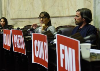 Romina Del Plá: “Son los pagadores y los endeudadores seriales los que nos llevan al default.”