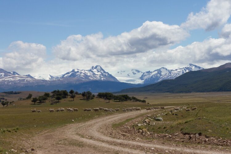 Joaquín Pérez – Pionero de Tucu Tucu
