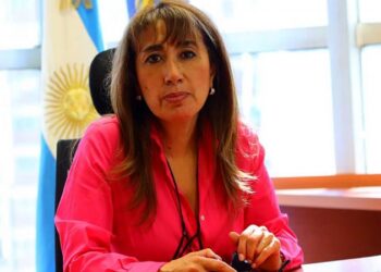Massa designó a la radical Roxana Reyes como integrante del Consejo de la Magistratura