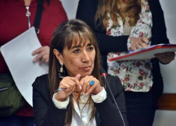 ROXANA REYES: Basta de hijos mendigando cuota Alimentaria