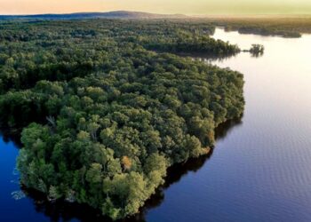 El 64% de los brasileños elegirá presidente en base a propuestas para la Amazonía