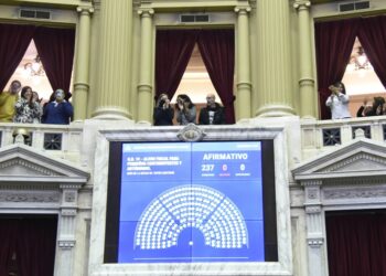 Diputados aprobó por unanimidad el alivio fiscal para monotributistas y autónomos