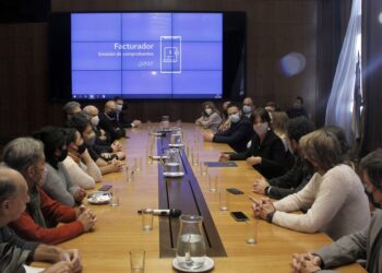 Cómo es el nuevo facturador de la AFIP