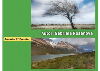 Se conocieron los ganadores del Tercer Concurso Fotográfico «Día del Árbol»