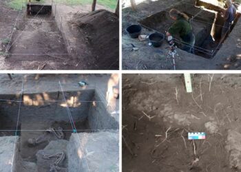 Hallaron el primer enterramiento de una mujer mapuche en una canoa, con 900 años de antigüedad