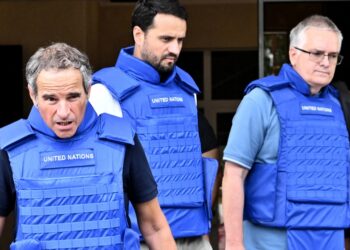 Aun atacando la central nuclear, Johnson y Zelensky no pudieron impedir la inspección de Zaporiyia