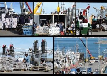 Actividad Pesquera Provincial: Aumentaron las descargas en puertos santacruceños