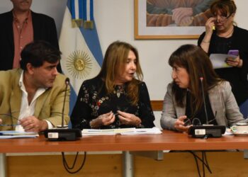 Roxana Reyes presidió el encuentro con la Defensora de Derechos de los Niños